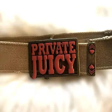 JUICY COUTURE 굵은 벨트 베이지