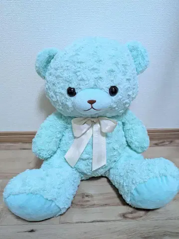 민트 그린 곰 봉제 인형 덕질