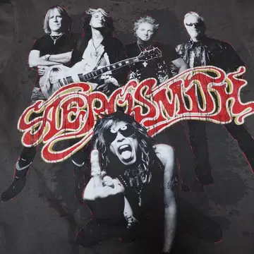 레어 AEROSMITH 에어로스미스 2011년 투어 티셔츠 M 사이즈