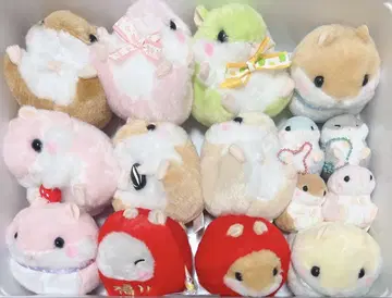 AMUFUN 코로하무 콜론 세트