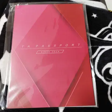 하마사키 아유미 TA PASSPORT
