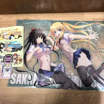 SAKAAGARI 아크릴 포스터, 덤 포함