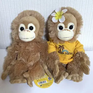 베이비 코코 & 너츠 봉제 인형 2세트