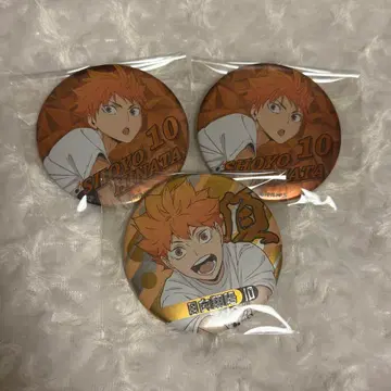 하이큐 합동 연습회 캔뱃지 히나타