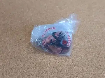 아이돌 호스 미니 컬렉션 다논 데사이르 일본 더비