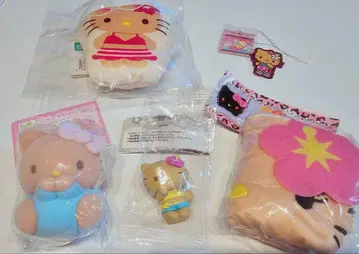 일광화상 키티