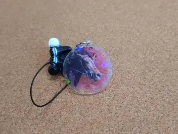 아이돌 호스 미니 컬렉션 스타즈 온 어스 오크스