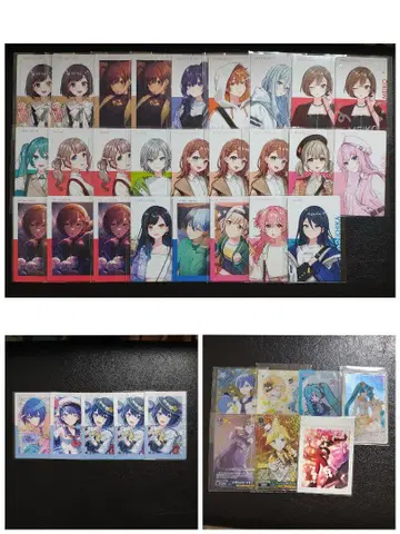 에피카 31장 묶음 판매 프로세카