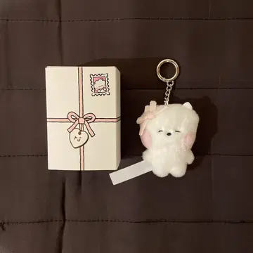 BT21 minini ribbon RJ