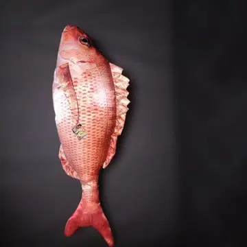 붕어빵 봉제 인형 약 90cm 프라이스