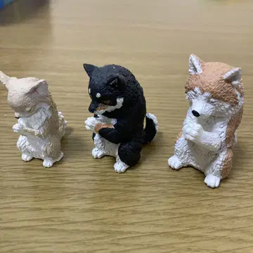 합장 장인 견배