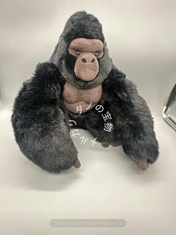 정품 히가시야마 동물원 샤바니 봉제 인형