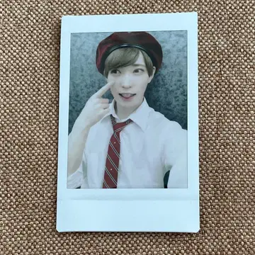 팬더드래곤 타이거 폴라로이드 38