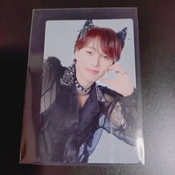 초특급 NINE LIVES 완전 생산 한정판 트레이딩 카드 마사히로