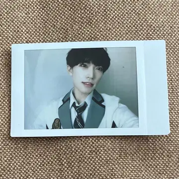 팬더 드래곤 타이거 폴라로이드 40