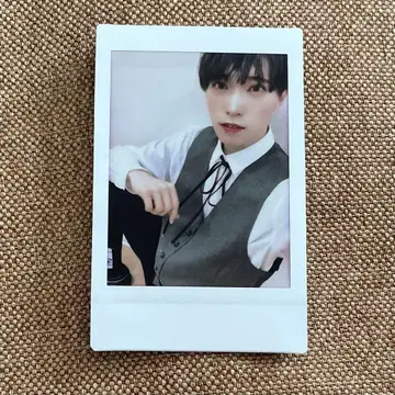 팬더 드래곤 타이거 폴라로이드 42
