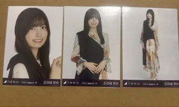 이오키 마오 비대칭 컴프