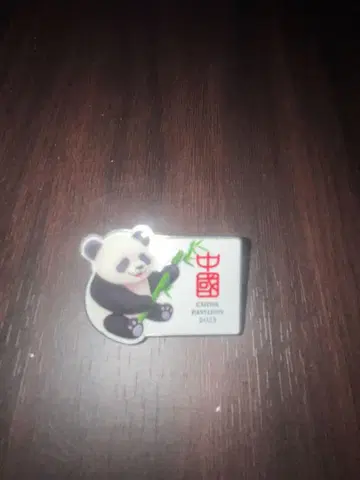 박람회 중국관 2025 핀 배지
