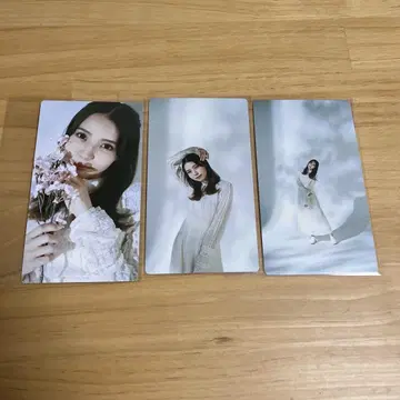 사쿠콜레 코바야시 유이 리얼 카드 벚꽃