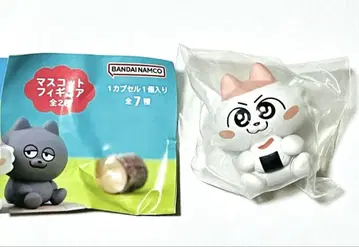 고양이 A상 아소토 콜렉션 피규어