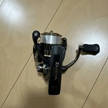 다이와 띠어리