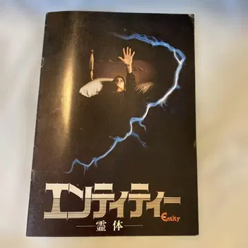 엔티티 영체 팜플렛