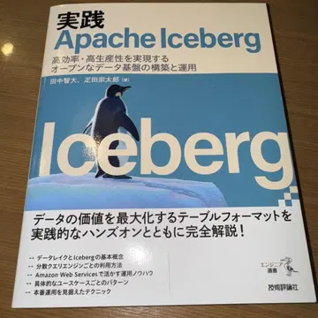 실천 Apache Iceberg 고효율 고생산성을 실현하는 오픈