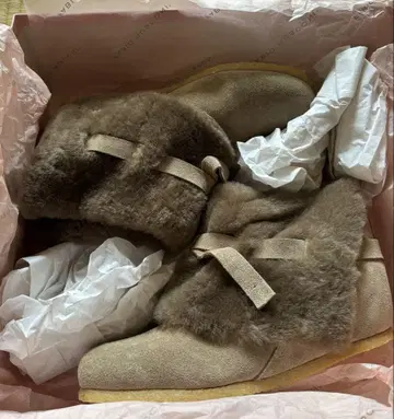 FABIO RUSCONI 파비오 루스코니 인힐 보아 부티