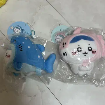 치이카와 수족관 개복치 진베이 상어