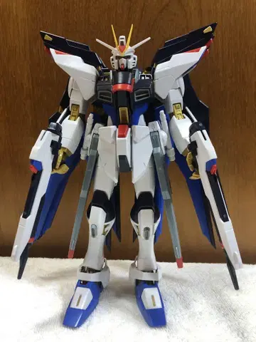 MG 스트라이크 프리덤 건담 Ver.1.0