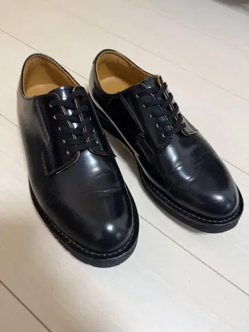 Danner / 대너: POSTMAN SHOES 사이즈 US 7