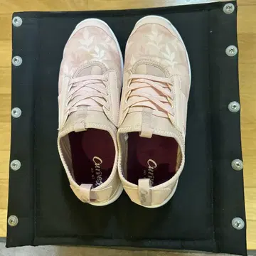 커브스 신발 24.5cm