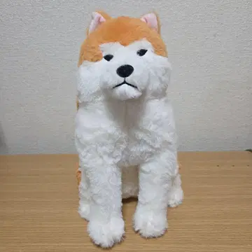 따뜻한 아키타견 하치베 봉제 인형