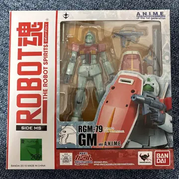ROBOT혼 기동전사 건담 RGM-79 짐 ver. A.N.I.M.E.