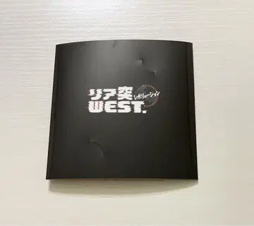 리아돌진 WEST. 레볼루션 바다의 집 얼굴 가리개 패널 폴라로이드 대지