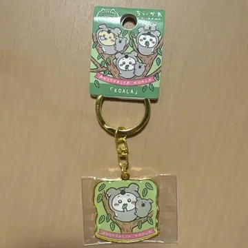 치이카와 (먼작귀) 호주 한정판 코알라 디자인 키링