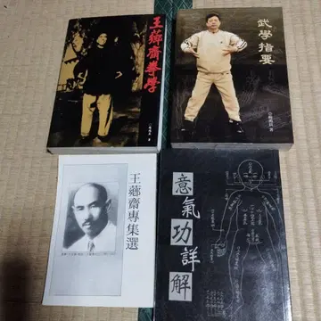 왕샹자이 기공 관련 서적 세트