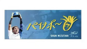 일본 니혼햄 파이터즈 미즈타니 슌 파인애플 타월