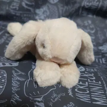 제리캣 Jellycat Smudge Rabbit Tiny 토끼