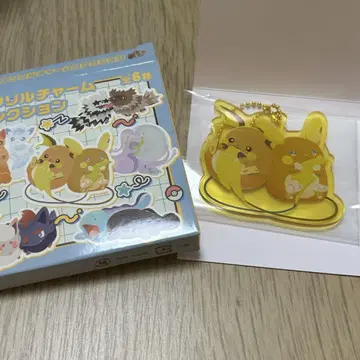 포켓몬 아크릴 참 비슷한 것끼리 라이츄