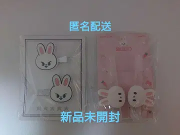 한국 POPUP cafe 5star 헤어 클립 리노 리 비트 스키즈