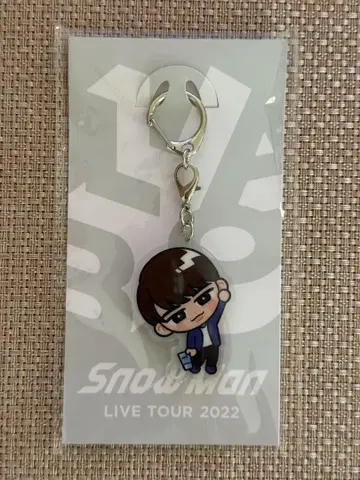 Snowman LIVE TOUR 2022 키링 와타나베 쇼타