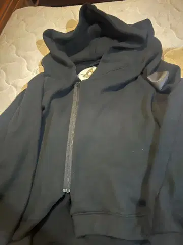 balmung 벌뭉 빅 후드티