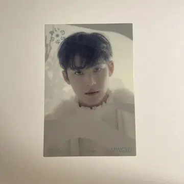 SEVENTEEN 세부치 민규 클리어 엽서 타워 레코드 혜택