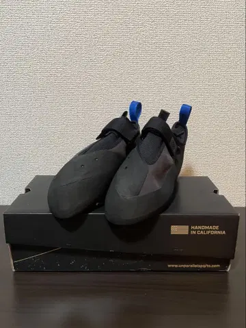 언패러렐 레굴루스