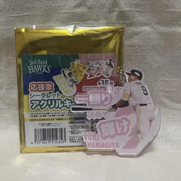 야나기타 유키 키링
