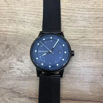 SKAGEN 스카겐