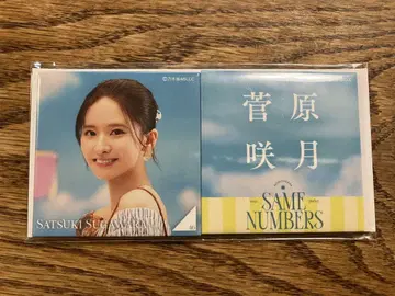 same numbers 노기자카46 스가와라 사츠키 개별 스퀘어 캔뱃지