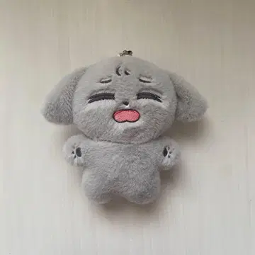 BOYNEXTDOOR 보이넥 프네크도 재희 봉제 인형 키링