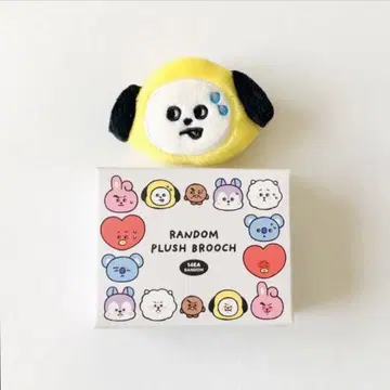BT21 TODAY'S FACE 랜덤 페이스 브로치 CHIMMY